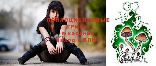 герыч Иннополис