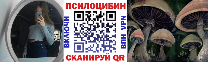 Купить Красноперекопск Псилоцибиновые грибы Cubensis