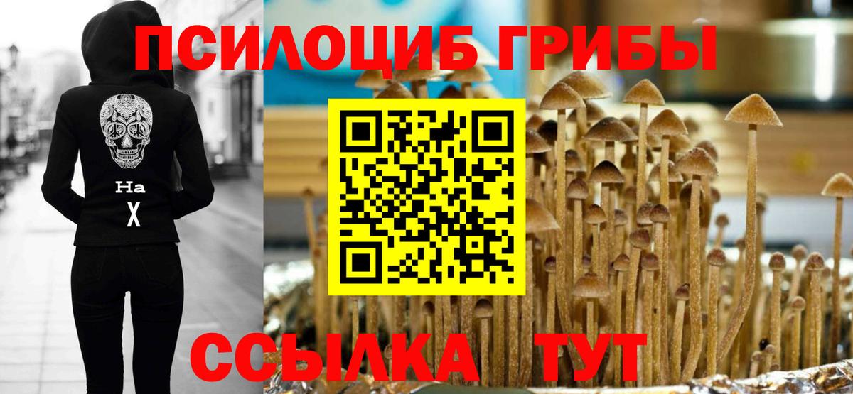 Псилоцибиновые грибы мухоморы Красноперекопск
