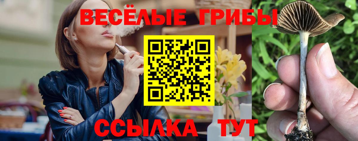 купить наркотик  Вход с VPN  Красноперекопск  Галлюциногенные грибы Psilocybine cubensis 