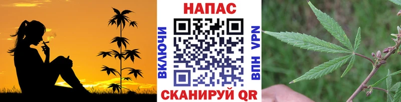 Купить где  Красноперекопск  МАРИХУАНА планчик 