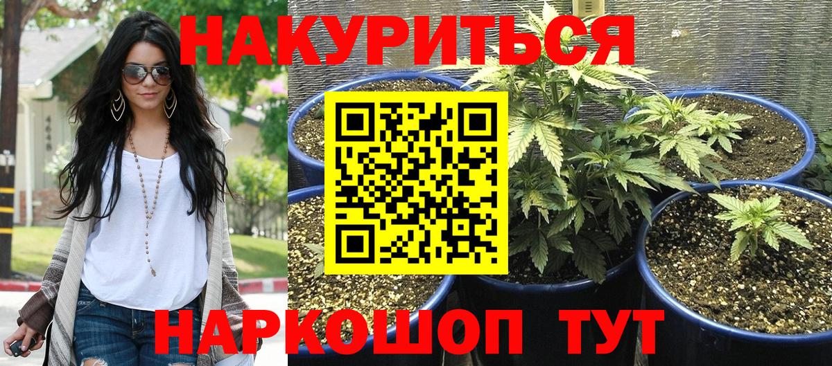 Конопля THC 21%  Красноперекопск  Марихуана марихуана  МАРИХУАНА ГИДРОПОН 